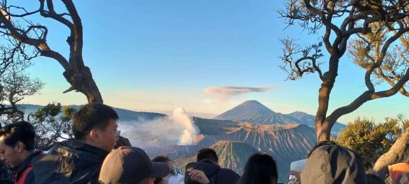 Malang : explore Bromo sunrise - Who This Tour Is Best For