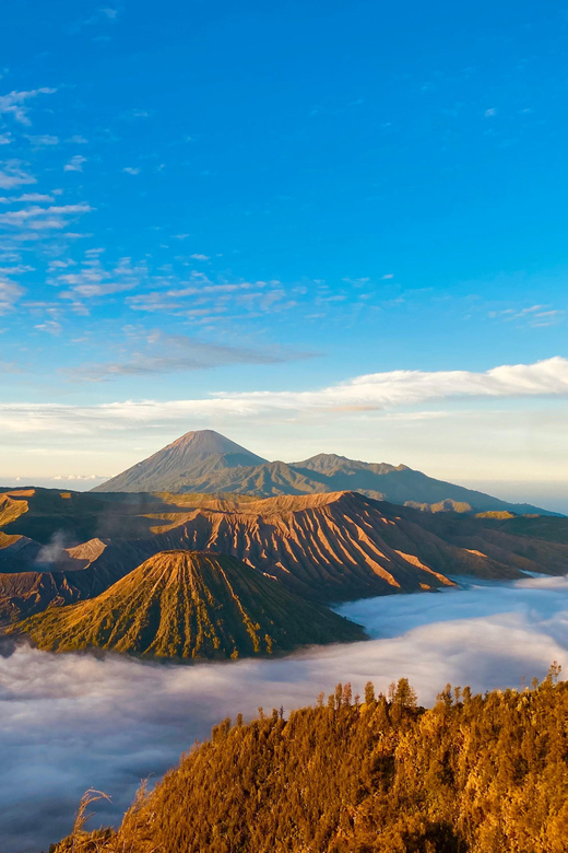 Malang/Surabaya: 3 Day Tumpak Sewu-Mt Bromo & Mt Ijen - Pickup and Drop-off