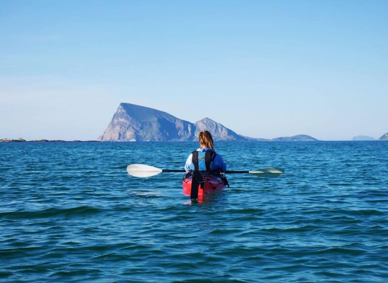 Malangen: Fjord Kayaking With Lunch - Good To Know