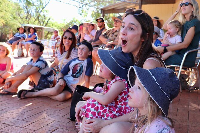 Malcolm Douglas Crocodile Park Tour Including Transportation - The Main Attraction: Crocodile Feeding and Close Encounters