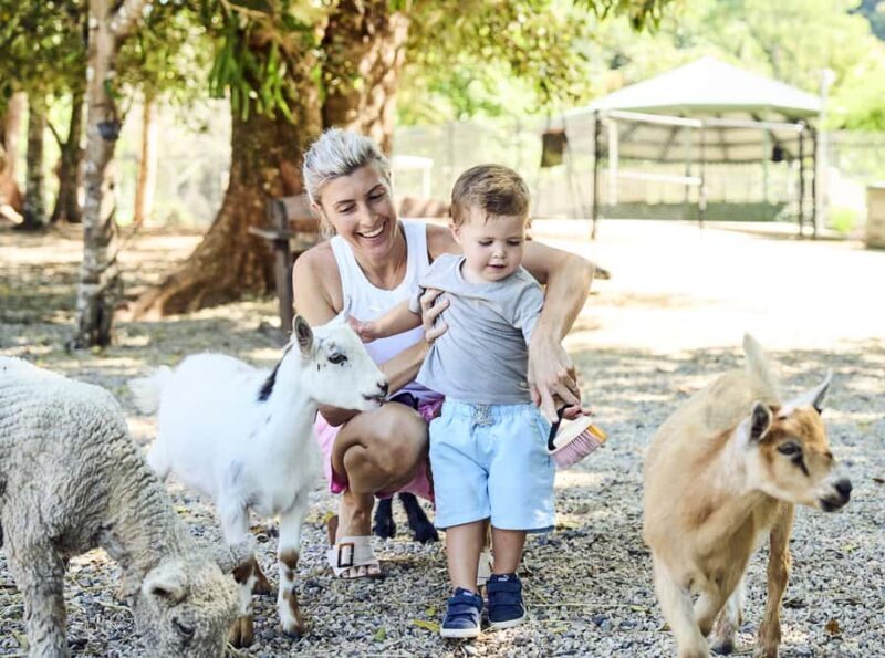 Maleny: Maleny Botanic Gardens & Bird World Entry Ticket - Key Points