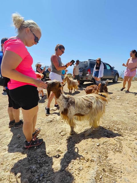 Malia: Lasithi Plateau Zeus Cave Guided Tour - Who Should Consider This Tour?