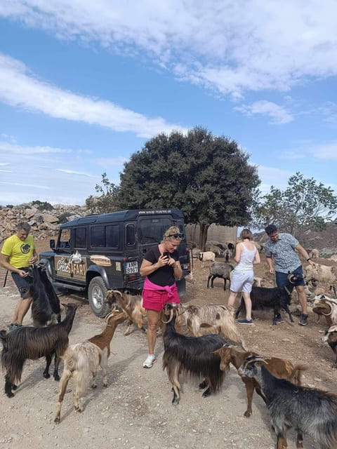 Malia: Lasithi Plateau Zeus Cave Guided Tour - Transportation, Duration, and Value