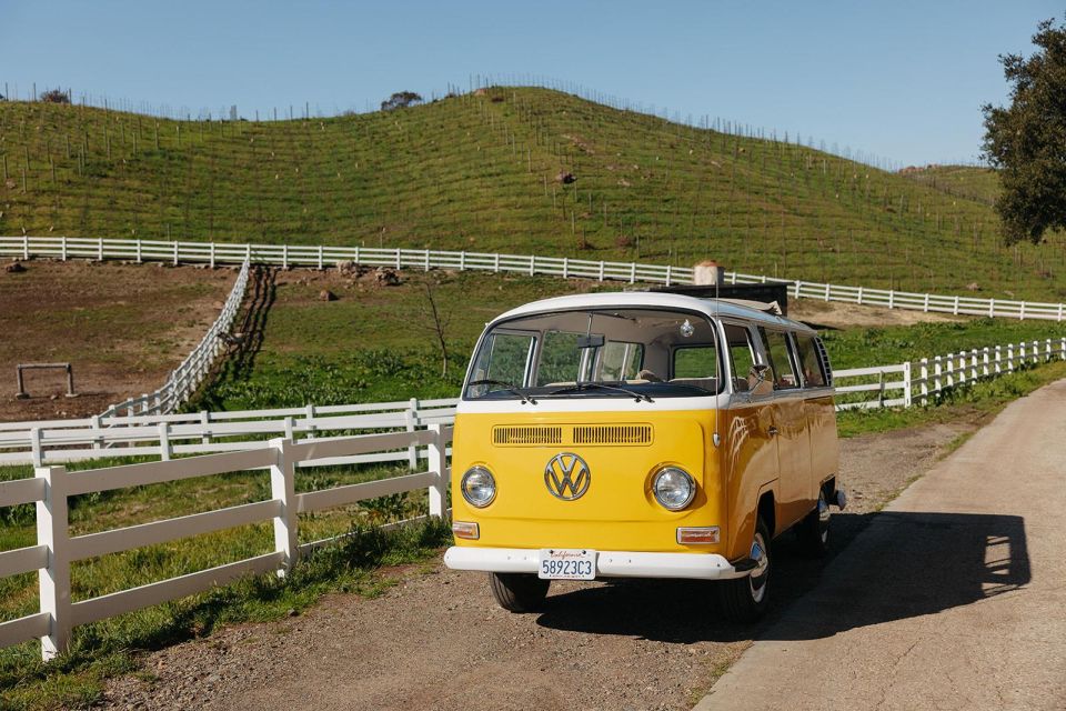 Malibu: Vintage VW Bus and Vineyard Tour - Age Restrictions
