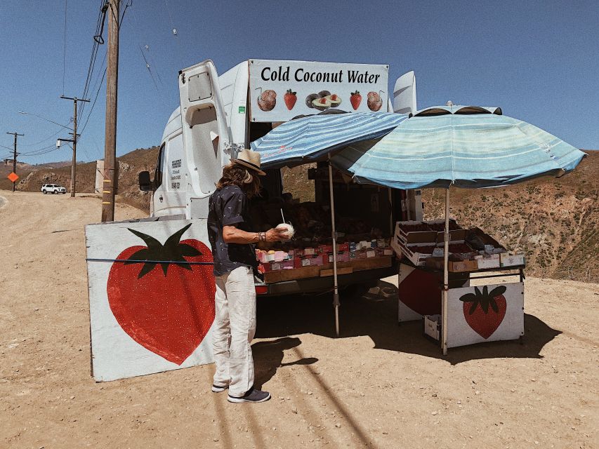 Malibu: Vintage VW Sightseeing Tour and Wine Tasting - Coastal Malibu Scenery