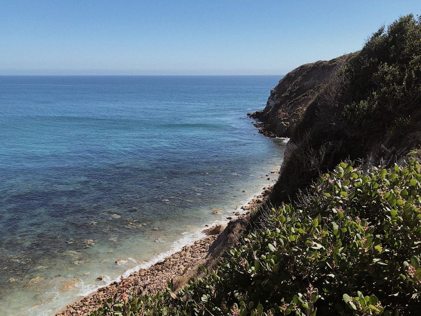 Malibu: Vintage VW Sightseeing Tour and Wine Tasting - Age Requirements