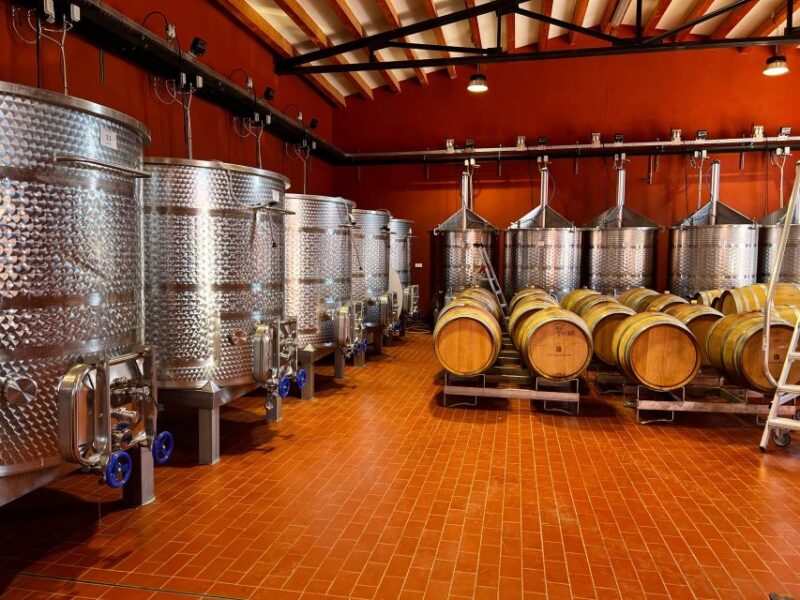 Mallorca - a Paradise for Wine Lovers - Key Points