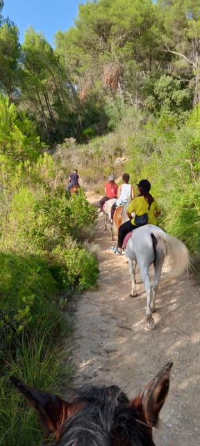 Mallorca: Activity, Antique Mallorca With Picnic - Experience Details