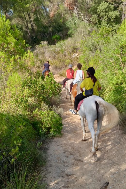 Mallorca: Activity, Antique Mallorca With Picnic - Included Features