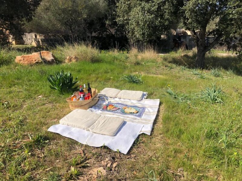Mallorca: Activity, Antique Mallorca With Picnic - Important Information