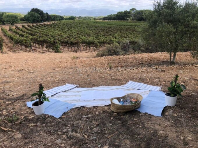 Mallorca: Activity, Antique Mallorca With Picnic - Scenic Horseback Ride