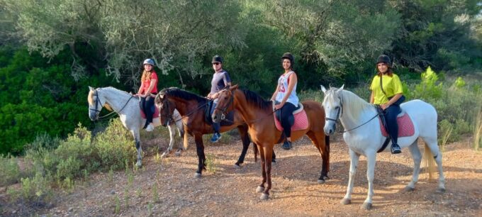 Mallorca: Activity, Antique Mallorca With Picnic - Picnic in a Picturesque Location