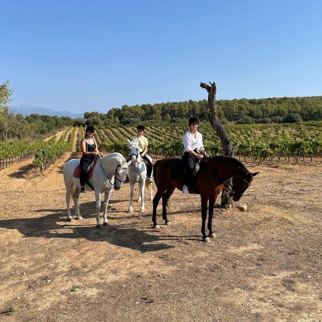 Mallorca: Activity With Horses, Antique Mallorca - Experience Highlights