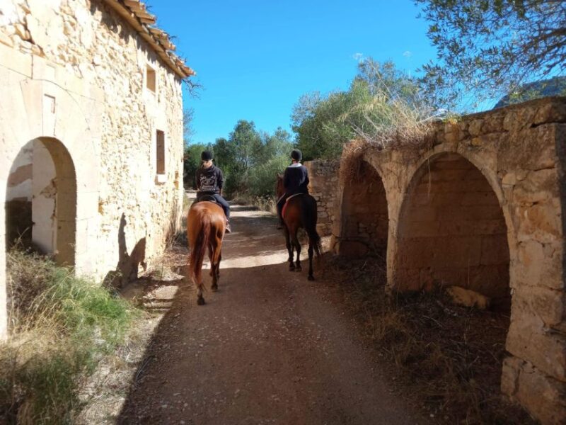 Mallorca: Activity With Horses, Antique Mallorca - Important Information