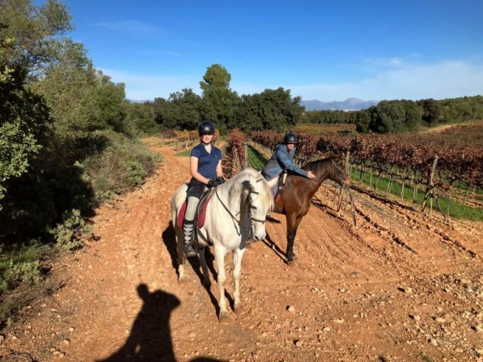 Mallorca: Activity With Horses, Antique Mallorca - Connecting With Andalusian Horses