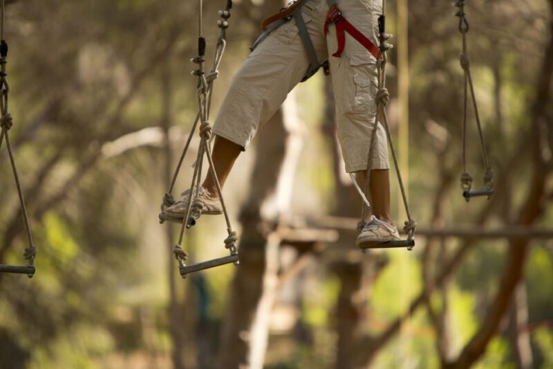 Mallorca: Adrenaline Tree Top Adventure Entry Ticket - An Adventurous Day at Mallorca’s Jungle Parc: A Detailed Review