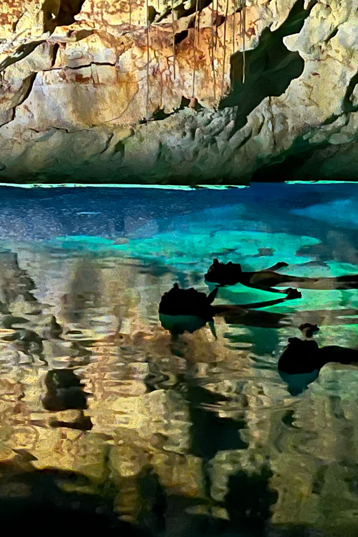Mallorca: Aquatic Cave Exploration Guided Tour (2 Languages) - Activity Level and Meeting Point