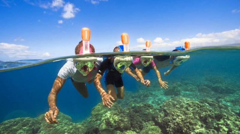 Mallorca: Bladerunner Jet Boat Excursion - Key Points