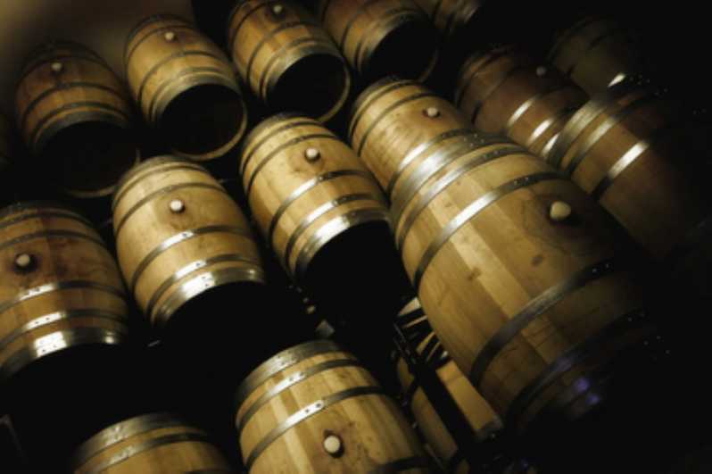 Mallorca: Bodega Butxet Vineyards & Winery Tour With Tasting - Experience Highlights