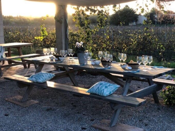 Mallorca: Bodega Butxet Vineyards & Winery Tour With Tasting - Booking and Cancellation Policy