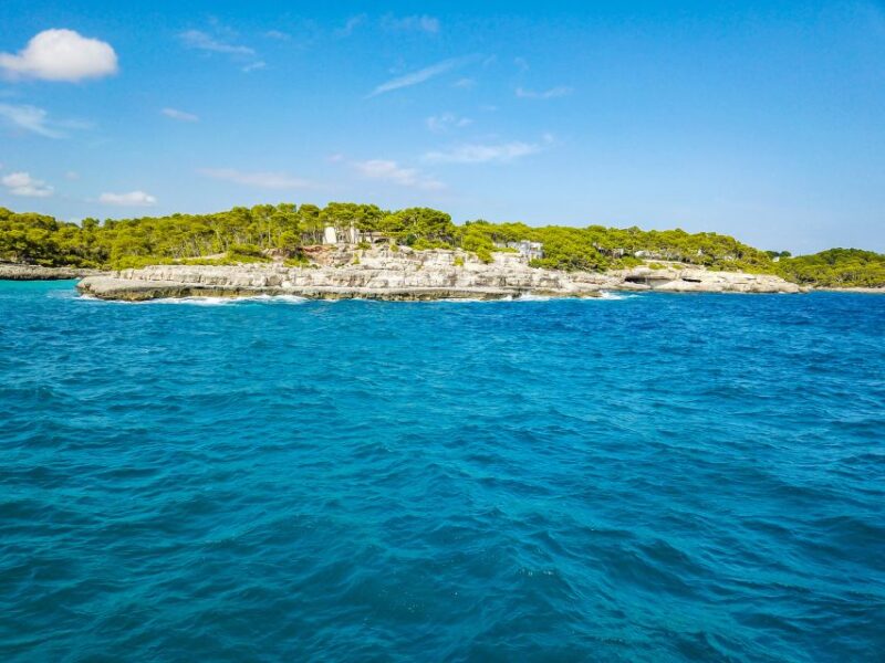 Mallorca: Cala Mondragó Natural Park Jetski Tour - Key Points