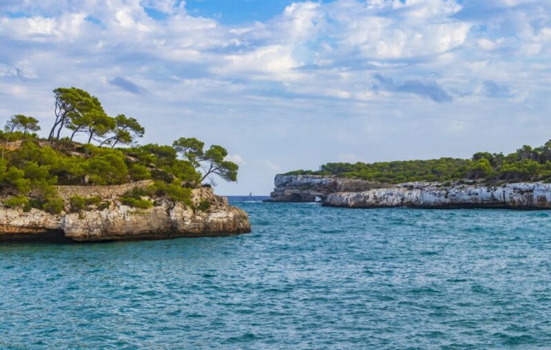 Mallorca: Cala Mondragó Natural Park Jetski Tour - Activity Highlights