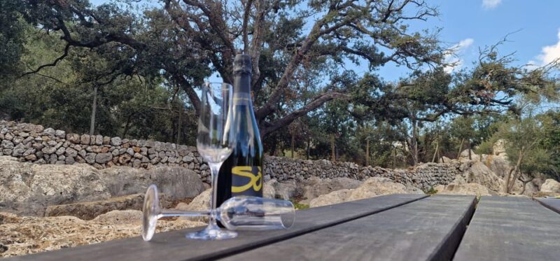 Mallorca: Cap & Cava - Minibus Tour to Formentor - GERMAN - Experiences and Activities
