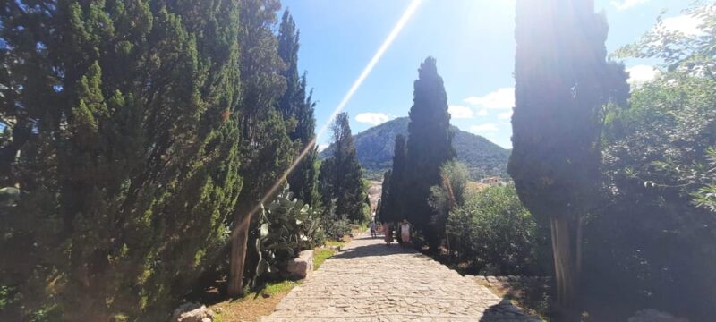 Mallorca: Cap & Cava - Minibus Tour to Formentor - GERMAN - Important Information