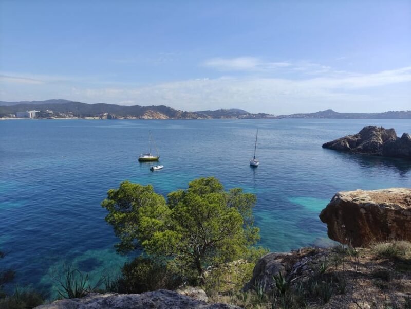 Mallorca: Catamaran Boat Tour With Tapas - Why Choose This Tour