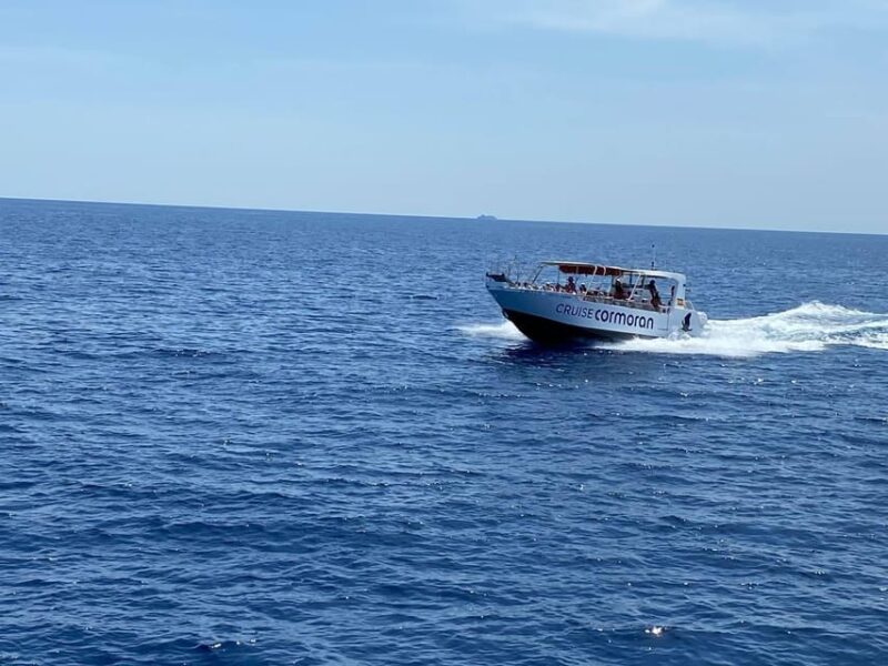 Mallorca: Caves, Cliffs, and Coves Boat Trip - Opportunities for Swimming and Snorkeling