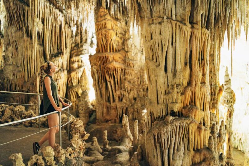 Mallorca: Caves of Drach Day Trip & Optional Caves of Hams - Customer Reviews and Ratings