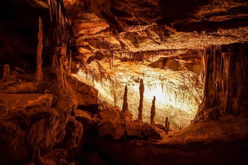 Mallorca: Caves of Drach Tour from the North with Boat Trip - Introduction: What Makes This Tour Stand Out?