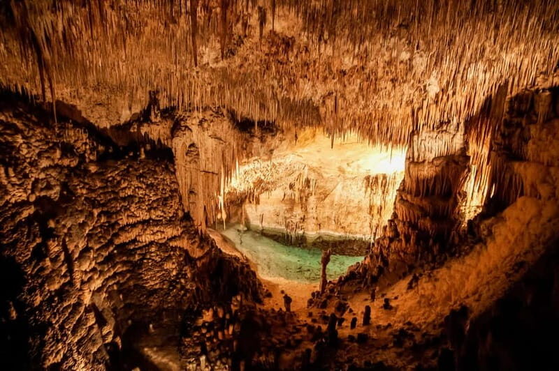Mallorca: Caves of Drach Tour from the North with Boat Trip - FAQ