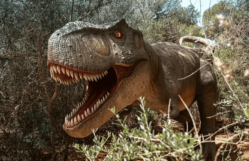 Mallorca: Dinosaurland Park, Hams Caves & Porto Cristo Tour - Key Points