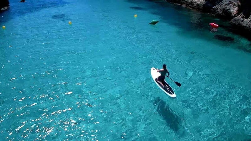 Mallorca: Discover paradisiacal coves on board of an exclusive catamaran - Setting Out from Palma’s Marina