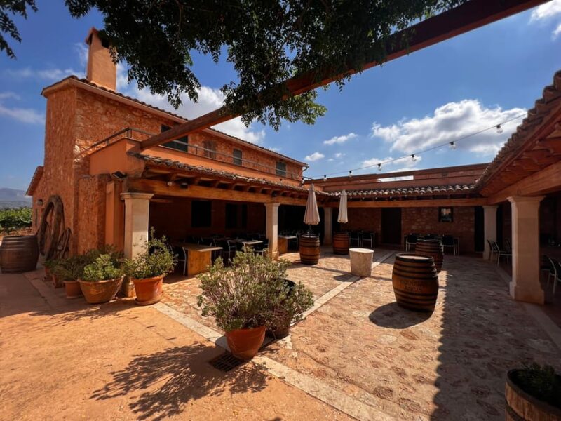 Mallorca: Discover the Secret Treasures of the Local Wine - Admiring the Breathtaking Landscape