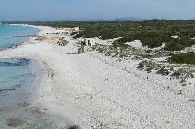 Mallorca Es Trenc Beach Day Tour With Hotel Pick up - Pickup Information
