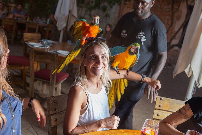 Mallorca Evening Tour: Horseback Riding, Dinner and Dance - The Barbecue Dinner