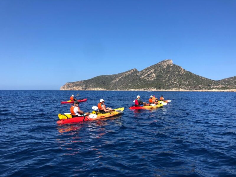 Mallorca: Explore the Island of Dragonera With the Kayak - Exploring the Dragonera Museum and Its Fascinating History