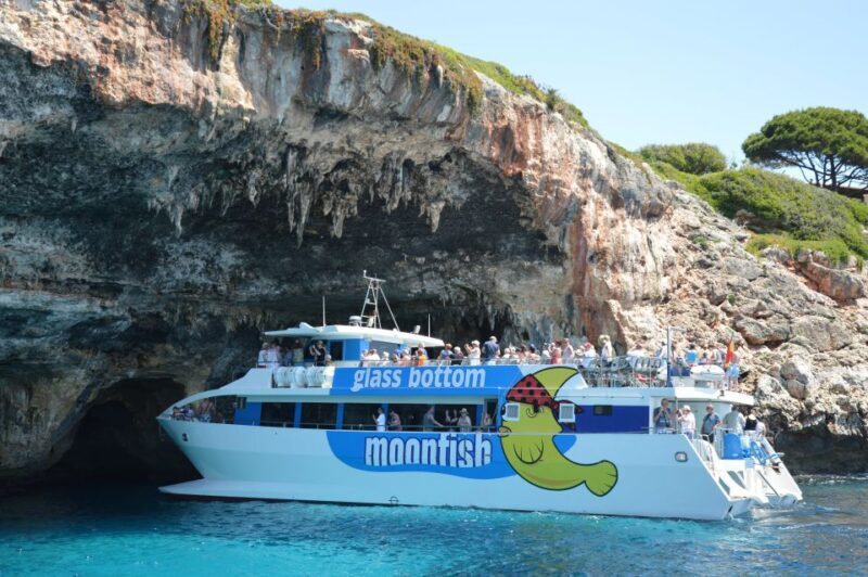 Mallorca: Glass-Bottom Catamaran Along the East Coast - The Sum Up