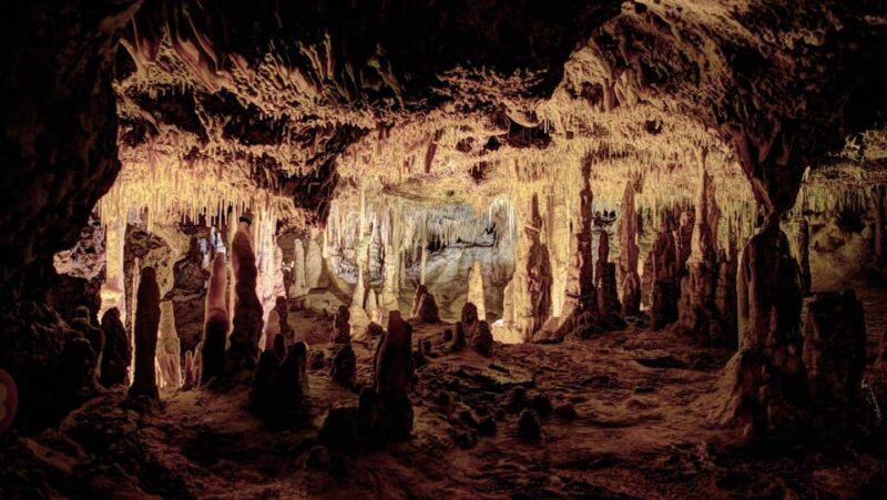 Mallorca: Half-Day Hams Caves Tour With Pearl Shop Visit - Reserving Your Spot