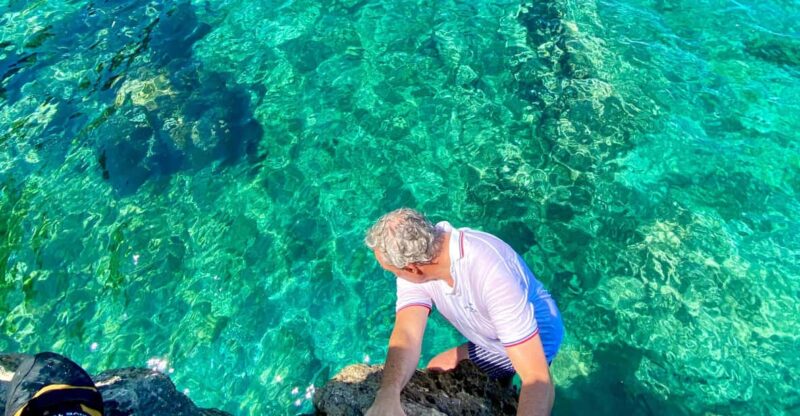 Mallorca: Highlights Wild Coast Tour - Itinerary and Highlights