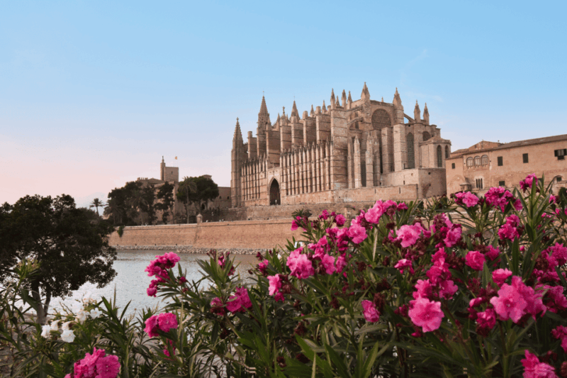 Mallorca: Instafamous Tour of Palma and North Coast - Key Points