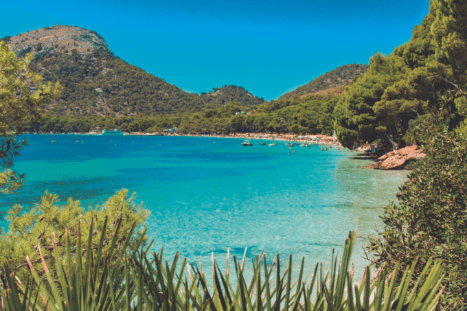 Mallorca: Instafamous Tour of Palma and North Coast - Exploring Palma Cathedral