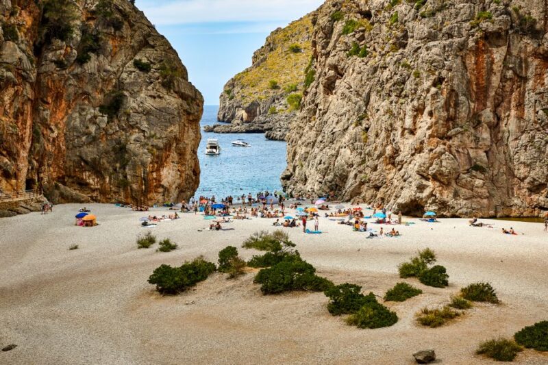 Mallorca: Island Trip by Train, Tramway, and Boat - Transportation Details