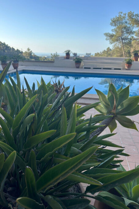 Mallorca: Magical Yoga Day Retreat - Catering and Relaxation