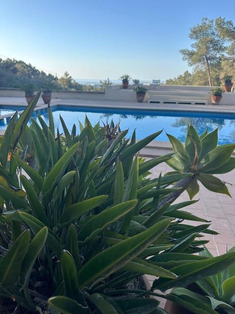 Mallorca: Magical Yoga Day Retreat - Frequently Asked Questions