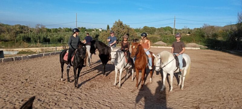 Mallorca: , Mallorcan Sunset, Horseback Riding, With Drinks - Preparing for the Ride