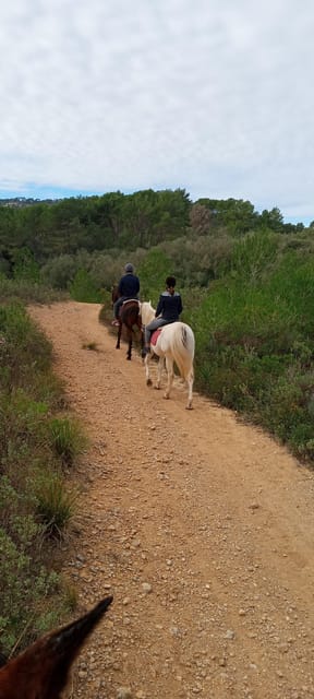 Mallorca: , Mallorcan Sunset, Horseback Riding, With Drinks - Safety Considerations