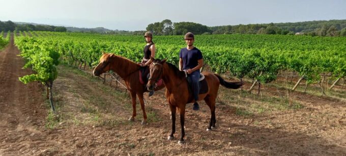 Mallorca: , Mallorcan Sunset, Horseback Riding, With Drinks - Riding Levels and Horse Selection